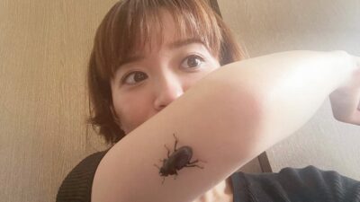 クワガタ子ちゃん(*’▽’)
