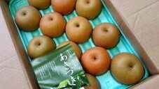季節をたのしむ「ミュージックハーモニー」