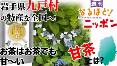 岩手県九戸村の特産を全国へ！ お茶はお茶でも甘～い『甘茶』とは？