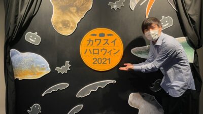 ～内田雄基の神奈川道中記・あとがき～　川崎水族館
