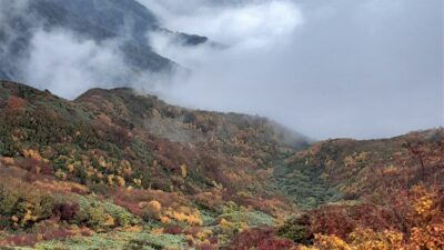 あさぼらけ写真館