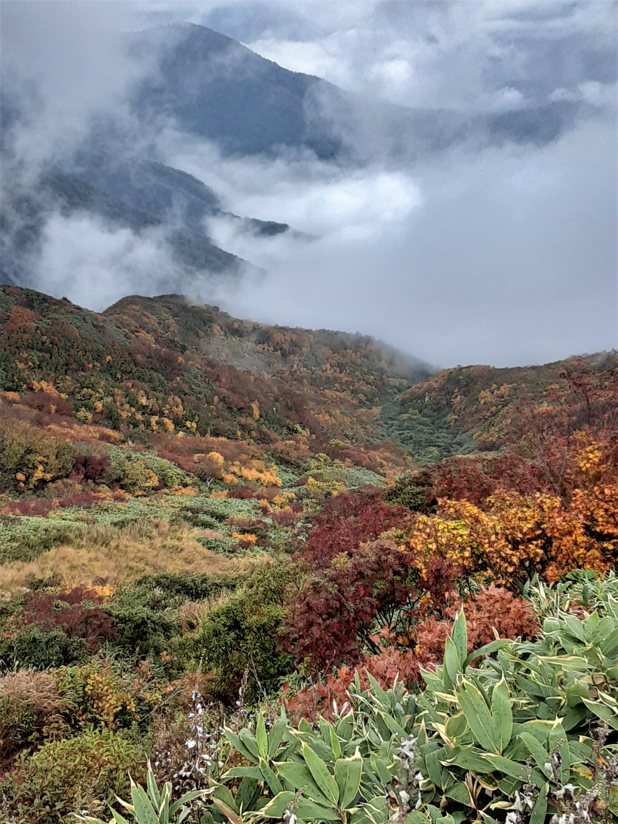 あさぼらけ写真館