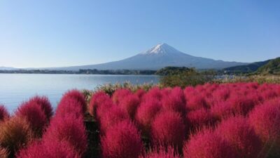 あさぼらけ写真館