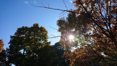 お誕生日、ありがとうございます！