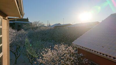 雪、でした♪