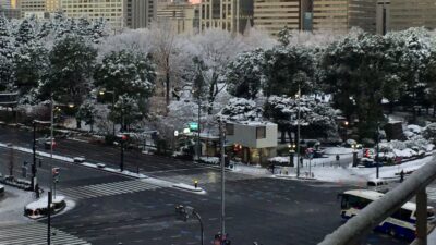 まっしろ～けっ⛄