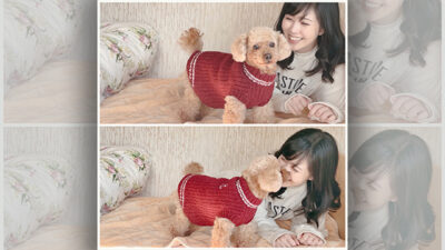 今日もお疲れ様でした