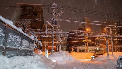 雪とシュウマイとニホンザルと