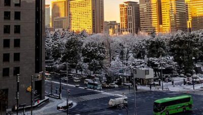 雪と平常運転