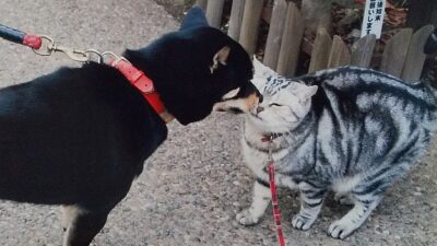 映画「ちょっと思い出しただけ」