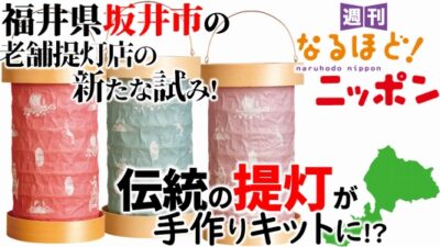 福井県坂井市の老舗提灯店の新たな試み！　伝統の提灯が手作りキットに!?