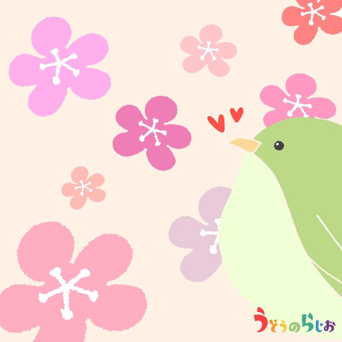 うどうのらじお、ニッポン放送