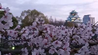 あさぼらけ写真館