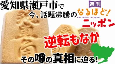愛知県瀬戸市で今、話題沸騰の『逆転もなか』その噂の真相に迫る！