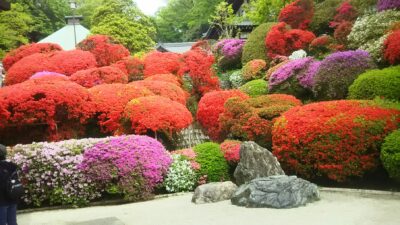 風の強い朝と写真