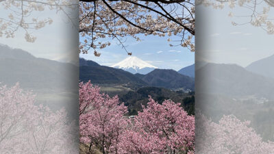 あさぼらけ写真館