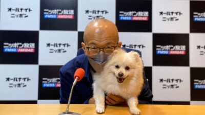 ポメラニアン