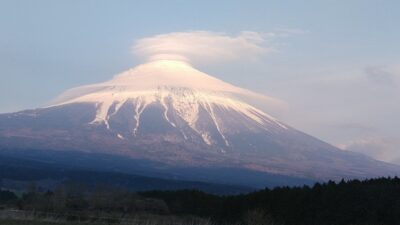 富士山・菜の花・お馬さん・猫ちゃん