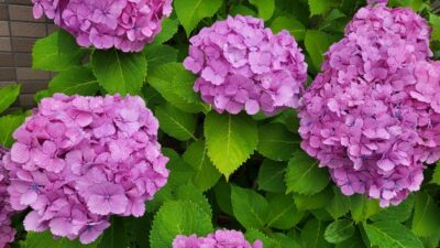 今日はスペシャル「私の好きな、恋のうた♪」