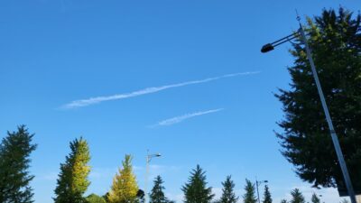 空は、高く～、高く～♪