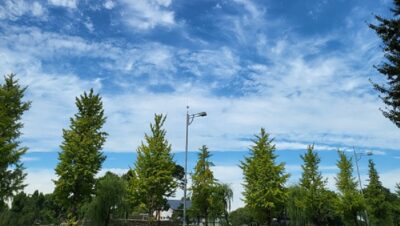 「私の好きな…秋のうた♪と新米?」