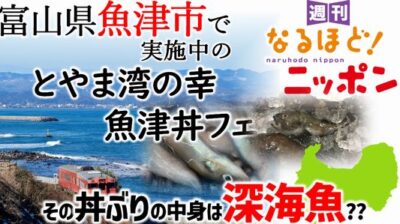 富山県魚津市で実施中の『とやま湾の幸　魚津丼フェア』！　その丼ぶりの中身は深海魚??