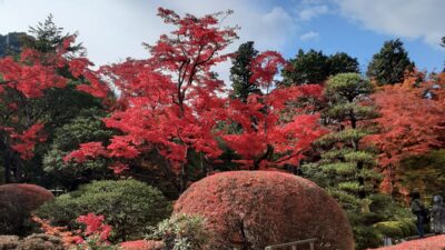 紅葉が綺麗です(^o^)