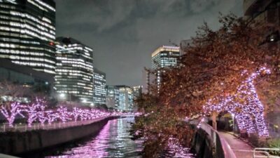 今年最後の祝日　勤労感謝の日