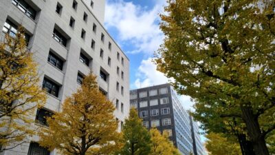 天国で「ほらね」って。。。