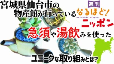 宮城県仙台市の物産館が行っている急須や湯飲みを使ったユニークな取り組みとは？