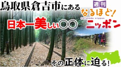 鳥取県倉吉市にある『日本一美しい○○』、その正体に迫る！