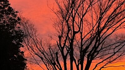 落語 と ?あさぼらけ写真館?