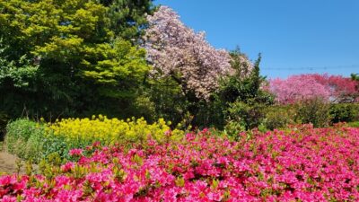 春は、花盛り～