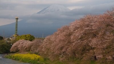 あさぼらけ写真館