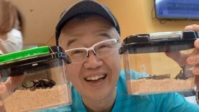 エンゼル田上のカブト虫プレゼント in 神奈川