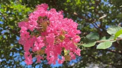 GW以来の祝日