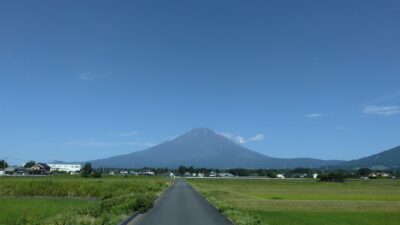 金鳥 小林さん登場！