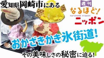 愛知県岡崎市にある、おかざきかき氷街道！　その美味しさの秘密に迫る！