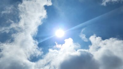 千葉の梨・豊水で言うことナシ(^_-)-☆
