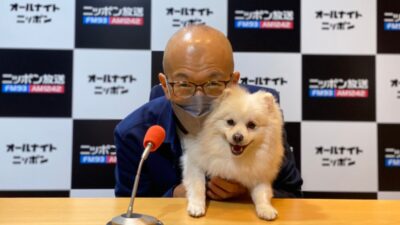 お待ちしています！