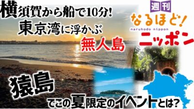 横須賀から船で10分！　東京湾に浮かぶ無人島『猿島』でこの夏限定のイベントとは？