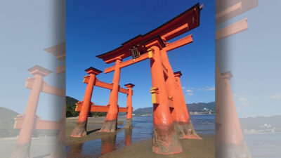 来週のお知らせ＆あさぼらけ写真館
