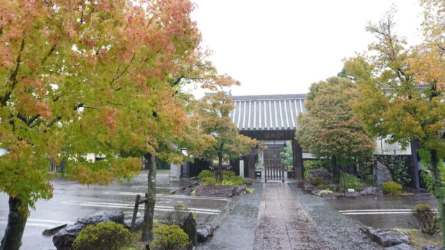 あさぼらけ写真館