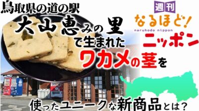 鳥取県の道の駅『大山恵みの里』で生まれたワカメの茎を使ったユニークな新商品とは？