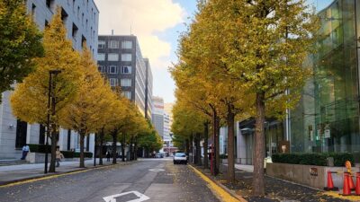 紅白大トリそろい踏み♪＋佐藤優さん！