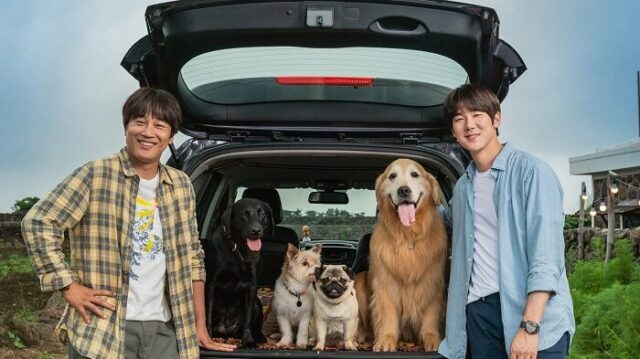 サンデー早起キネマ『マイ・ハート・パピー』