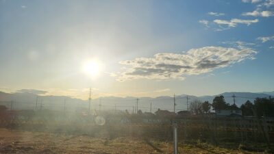 今日もしあわせ、分けていただきました☺