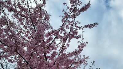 春、早くきてね～♪