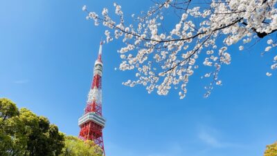 今週はマヨネーズやドレッシング、来週はビール!!と、ちーちゃんこと「森高千里さん」