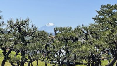 あさぼらけ写真館